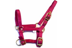 Rhinegold Nylon Foal Headcollar
