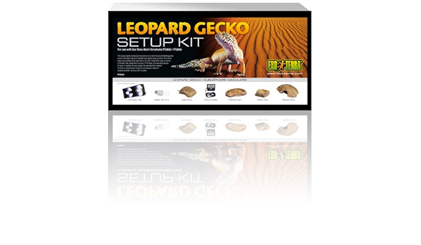 leopard gecko starter kit amazon