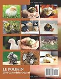 Image de Le Poussin Calendrier Mural (Edition France)