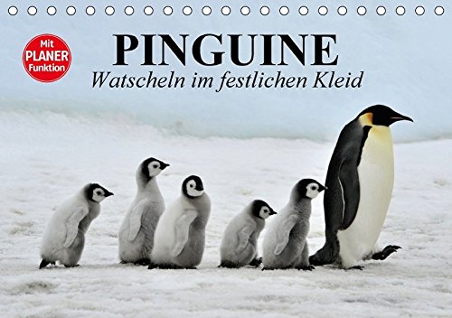 Preisvergleich Produktbild Pinguine - Watscheln im festlichen Kleid (Tischkalender 2018 DIN A5 quer): Königspinguine in ihrem natürlichen Lebensraum (Geburtstagskalender, 14 ... [Kalender] [Apr 01, 2017] Stanzer, Elisabeth