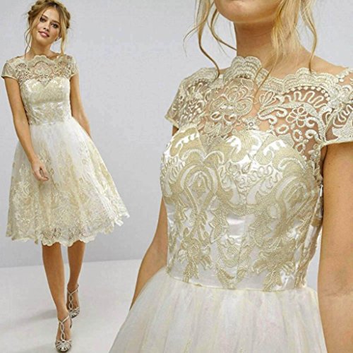 Preisvergleich Produktbild DOLDOA Damen Spitze Abendgesellschaft Brautjungfer Ballkleider CocktailKleid Vintage Kleid (EU:42, Beige- Vintage Spitze Stickerei Kleid)