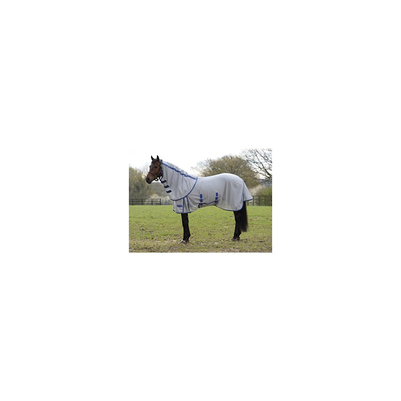 Horse ‘n’ Pony
