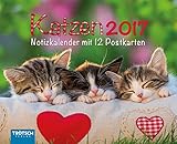 Notiz-Kalender Katzen 2017: Mit 12 Postkartenn by
