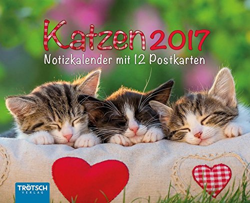 Notiz-Kalender Katzen 2017: Mit 12 Postkartenn