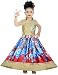 Cute Fashion Kids Girls Baby Dress Princess Satin and Net Party Wear Frock Dresses Clothes for 4 - 5 Years RS.700.00
