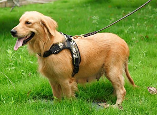 Safety Front Range No-Pull Dog Harness,3m Reflective Vest for Dogs Easy Control (CANVAS PADDED CAMO, SMALL)