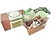 Kräuter Anzuchtset, 4 Sorten Bio Kräuter Saatgut – Kräuter Pflanz Set mit Bio Samen, Geschenk Set zu jedem Anlass- perfektes Geschenk Set, verpackt als Geschenk Box, ideal für Frauen und Männer