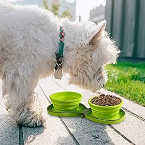 ALL FOR PAWS Dog Foldable Double Dinner - Green