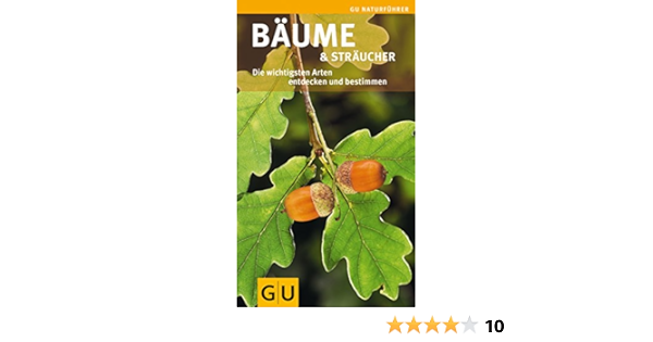 Baume Straucher Die Wichtigsten Arten Entdecken Und Bestimmen Amazon De Hofmann Helga Bucher