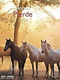 Pferde 2014 Posterkalender by