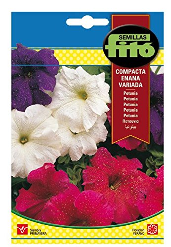 Semillas Fitó 671 - Semillas de Petunia Compacta Enana Variada