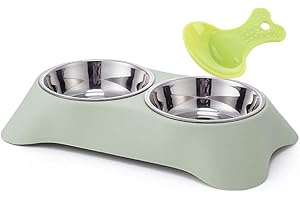 MARUISIL Double Dog Bowl,Non Slip Non-spill Stainless Steel Double Bowl with 1 Pet Food Spoop For Small Dogs and Cats (Green, S)