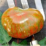 Tipo de producto: semillas AGROBITS 100 Promoción Grande Enorme Grande de la Herencia de Tomate Dulce Bonsai jardinería Plantas Las Plantas no GMO Bonsai Vegetal para jardín