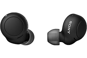Sony WF-C500 True Wireless Headphones (Up to 20 Hours Battery Life with Charging Case - Compatible with Voice Assistant, Built-in Microphone for Phone Calls, Bluetooth) Black