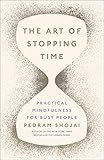 The Art of Stopping Time by 