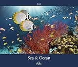 Sea & Ocean 2015 by