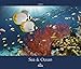 Sea & Ocean 2015 by