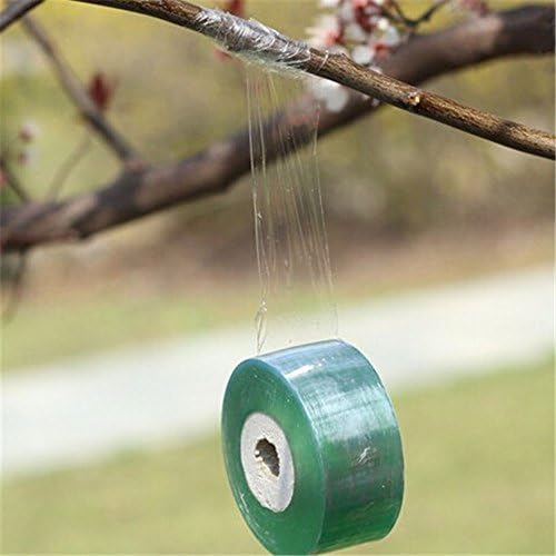 AsentechUK Garden Tools Fruit Tree Grafting Stretchable Tape Secateurs Engraft Branch Gardening Bind Belt PVC Tie Tape 3CM x 100CM