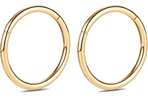 hengkaixuan 2Pcs Titanium Nose Hoop Rings Hinged Segment Clicker Rings Cartilage Helix Lip Tragus Conch Piercing Jewellery Sleeper Earrings Septum Lobe Hoop Earrings