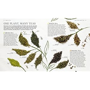 The Tea Book