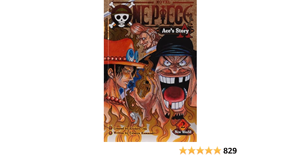 One Piece Ace S Story Vol 2 New World Hamazaki Tatsuya Oda Eiichiro Amazon Fr Livres