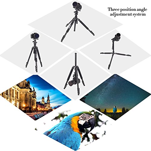 ZOMEi Q555 L ger Poids Aluminium Alliage Cam ra Tr pied ave 360 Degr Boule T te 1 4 Rapide Relaxe Plat Pour Canon Nikon Sony Samsung Panasonic Olympus Fuji DSLR et Camcorders reviews ZOMEi Q555 L ger Poids Aluminium Alliage Cam ra Tr pied ave 360 Degr Boule T te 1 4 Rapide Relaxe Plat Pour Canon Nikon Sony Samsung Panasonic Olympus Fuji DSLR et Camcorders