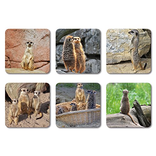 Addies Glas-Untersetzer 6-tlg.Set bedruckt Motiv „ERDMÄNNCHEN“ Komplett-Set in hochwertiger Klarsicht-Geschenkbox und Korkrückseite, Tier-Motiv - 2