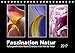 Produktbild Faszination Natur (Tischkalender 2017 DIN A5 quer): Außergewöhnliche Makro-Eindrücke in die Welt der Natur (Monatskalender, 14 Seiten ) (CALVENDO Natur)