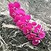 Produktbild WHUPMA 57cm   künstliche Blume Phalaenopsis Latex Silico Orchidee