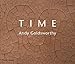 Time: Andy Goldsworthy by