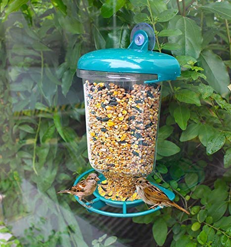 Parkland Window Bird Feeder Buy Online In Qatar Outdoors