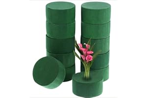S.F.PACHIRA 12pcs Cylindre en Mousse Florale, 8cm Mousse Florale Humide & Sèche pour Fleurs Fraîches & Artificielles, Éponge Florale pour Artisanat DIY Mariage Décoration de Fête (Vert)