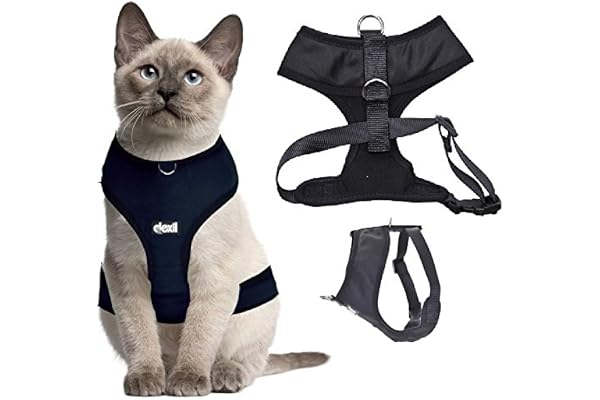 Dexil Harnais de luxe rembourré et résistant pour chat