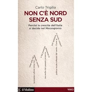 Non c'è Nord senza Sud. Perché la crescita dell'Italia si decide nel Mezzogiorno