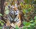 India: Land of Tigers and Temples RS.625.00