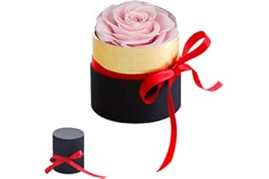 VUSDDY Mini Scatola Regalo Rosa eterna,Rose Stabilizzate Fatte a Mano,Regalo di San Valentino,Rosa Eterna,Fiore Mai Appassito,Rossa Ragazze Regali di nozze,Anniversario,Regali Romantici,regalo per lei