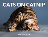 Cats on