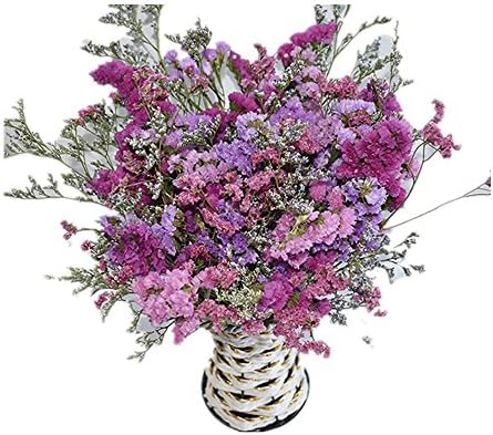 Dried flowers bouquets do not forget me full of stars Xinghua DIY living room decoration decorated small fresh (T3 three-color)