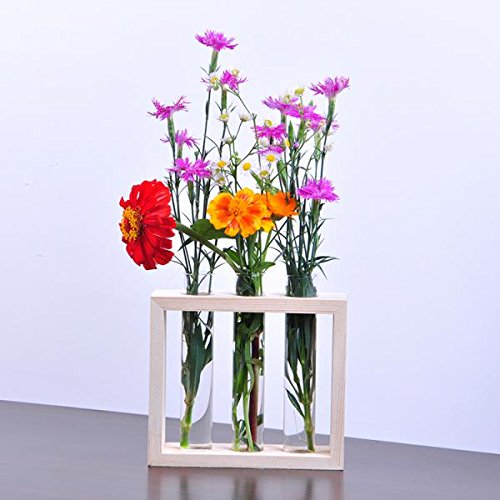 MagiDeal Kristall Reagenzglas Glas Vase In Holzständer Wand Hängen Für Blumen Pflanzen - 3