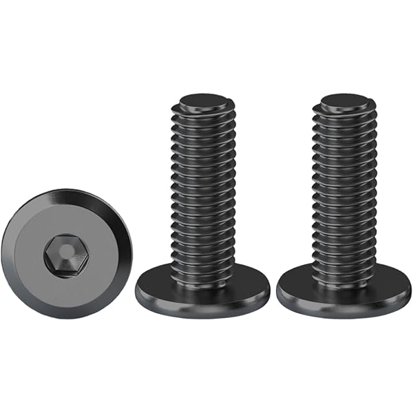 Viti A Testa Tonda Pozi Acciaio Inox A2 Metriche M6 | Scegli La Lunghezza, Spalding Fasteners
