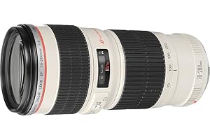 Canon EF Objectif à zoom 70 mm 200 mm f/4.0 L USM Canon EF