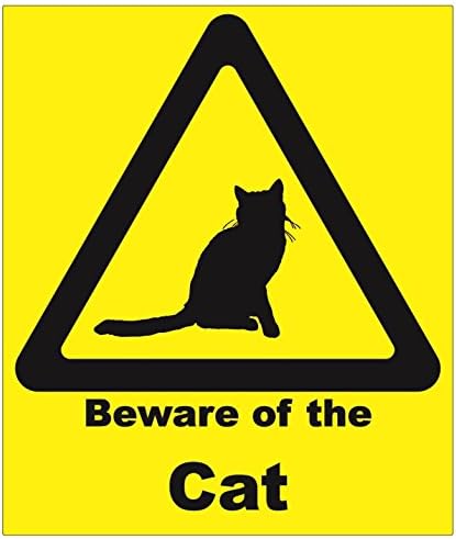 Beware of the Cat - A5