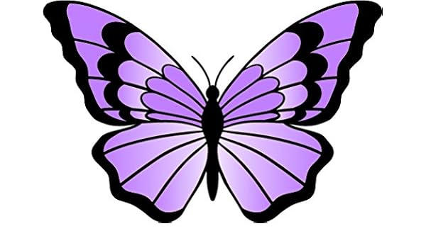 Beautiful Simple Spring Fairy Party Butterfly Cartoon Art Vinyl