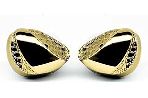 Kinboofi TANGZU SHIMIN LI In-Ear-Monitor, N52 Magnet Dual Cavity Design Dynamic Driver HiFi IEM, Sport Noise Isolation Wried Kopfhörer mit abnehmbarem 2-poligem Kabel für audiophile Musiker (Gold)