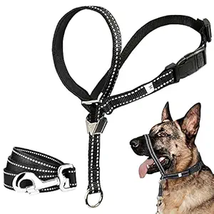 Dog Head Collar and Leash Set, No Pull Head Halter with Soft Padding, Durable Dog Collar Leash Stop Pulling and Choking, Dog Training Tool for Walking Small Medium Large Dogs (L, Black)