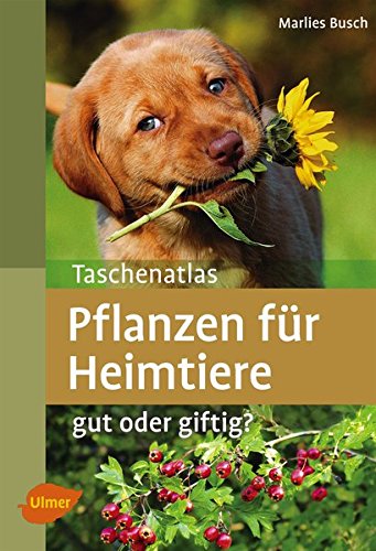 Download Taschenatlas Pflanzen für Heimtiere: Gut oder giftig? (Taschenatlanten)