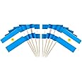 JAVD CYPS 100 Pcs Argentina Flag Argentine Toothpick Flags, Small Mini Stick Cupcake Toppers Argentine Flags,Country Picks Party Decoration Celebration Cocktail Food Bar Cake Flags