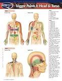 Image de Trigger Points I: Head & Torso