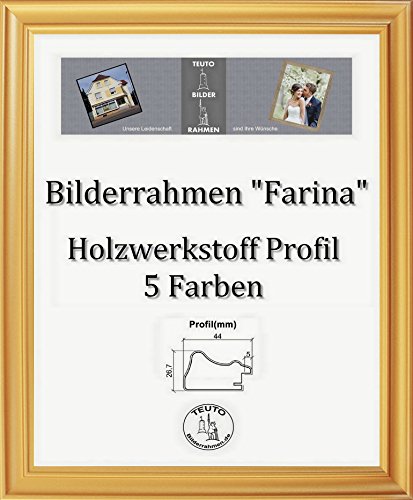 Farina Barock Bilderrahmen 60 x 160 cm Farbe und Verglasung wählbar 160 x 60 cm hier: Gold schlicht mit Acrylglas Antireflex 2 mm