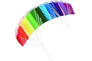 Nicoone Rainbow Kite,Soft Stunt Sport Parafoil Kite with 30M/ 100FT Rope,Dual Line Sport Kites,Outdoor Seaside Beach Toy 1. 4M